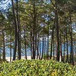 Pereire - Superbe A 50 Metres De La * Arcachon