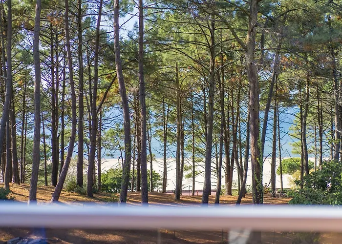 Pereire - Superbe A 50 Metres De La Villa